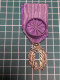 MÉDAILLE EMAILLEE OFFICIER DES PALMES ACADEMIQUES - Frankreich