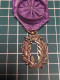 MÉDAILLE EMAILLEE OFFICIER DES PALMES ACADEMIQUES - Frankreich