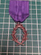 BELLE MÉDAILLE EMAILLEE CHEVALIER DES PALMES ACADEMIQUES - Francia