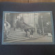 Delcampe - ALBUM PHOTO COLMAR 13 DOCUMENTS 14 JUILLET 1919 - Album & Collezioni