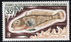 TAAF 1972 Poissons Fishes Yv. 43-45 Neufs MNH - Maximumkarten