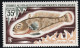 TAAF 1972 Poissons Fishes Yv. 43-45 Neufs MNH - Cartes-maximum