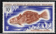 TAAF 1971 Poissons Fishes Yv. 34-38 Neufs MNH - Cartoline Maximum