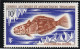 TAAF 1971 Poissons Fishes Yv. 34-38 Neufs MNH - Tarjetas – Máxima