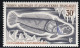 TAAF 1971 Poissons Fishes Yv. 34-38 Neufs MNH - Maximum Cards