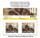 Switzerland 2024 Naturmuster Motifs Naturels Motivi Naturali Natural Patterns - Serie With Illustration MNH ** - Unused Stamps
