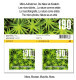 Delcampe - Switzerland 2024 Naturmuster Motifs Naturels Motivi Naturali Natural Patterns - Serie With Illustration MNH ** - Unused Stamps