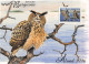 ALAND - SET FDC WWF 1996 - OWL/ 4300 - Aland