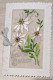 Carte Brodée - Fleurs - Voeux De Bonheur - Double Carte - Carte Postale Ancienne - Brodées