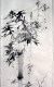 Delcampe - Japanese Sumi-e Bamboo Hanging Scroll - Arte Asiatica