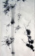 Delcampe - Japanese Sumi-e Bamboo Hanging Scroll - Art Asiatique