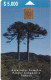 CHILE - Araucarias Gemelas/Parque Conguillio Temuco, Tirage %20000, 12/99, Used - Chile