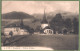 CPA - SUISSE - ROUGEMONT - CHATEAU ET ÉGLISE - - Rougemont