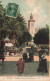 ALGÉRIE - Alger - Palmiers - Place Du Gouvernement - Carte Postale Ancienne - Algeri