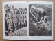 Delcampe - NS Deutschland 1937; Spaten Und Aehre; RAD Reichsarbeitsdienst; Handbuch / Handbook; Photos; NSDAP - 5. Guerres Mondiales