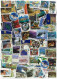 Collection De Timbres Nlle Zelande Oblitérés 1000 Timbres Différents - Colecciones & Series