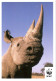 CP WWF Rhinocéros - Aidez Le WWF à Le Protéger Des Trafiquants - Rinoceronte