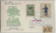 Argentina 1965 Registered Airmail Cover From Buenos Aires To Blumenau Brazil Stamp Uniform Tree - Cartas & Documentos