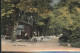 41348806 Finkenkrug Falkensee Gasthaus Park Finkenkrug Falkensee - Falkensee