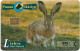 Spain - Telefonica - Fauna Iberica - Liebre Rabbit - P-445 - 10.2000, 500PTA, 8.000ex, Used - Emisiones Privadas