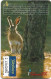 Spain - Telefonica - Fauna Iberica - Liebre Rabbit - P-445 - 10.2000, 500PTA, 8.000ex, Used - Emisiones Privadas