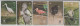 BRASIL 1999 BIRDS SPOONBILL HARPY EAGLE IBIS JACAMIM VULTURE 5 CARDS - Otros & Sin Clasificación