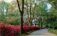 72956844 Columbia_South_Carolina Along The Garden Trail - Autres & Non Classés