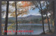 122661/ Lake Ant Mt. Chocorua - Sonstige & Ohne Zuordnung