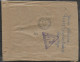 POLOGNE  Lettre Recommandée 1975 Peche Fleurs - Covers & Documents