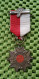 1 X  Medaille-  Avondvierdaagse 5 Maal .  -  Original Foto  !! - Altri & Non Classificati