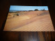 CARTE POSTALE MODERNE CPM ESPAGNE ILES CANARIES CANARIAS MASPALOMAS CHAMEUX DANS LES DUNES ECRITE AVEC TIMBRE - Andere & Zonder Classificatie