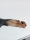 Delcampe - Petit Couteau De Poche Browning Lame De 9 Cm - Coltelli