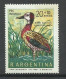 Argentine N°847  Dindrocygna Viduata   Cygne  Veuf   Neuf   * *    B/TB Voir Scans  Soldes ! ! ! - Schwäne