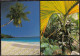 SEYCHELLES - Anse Intendance - Mahe - Vallee De Mai - Praslin 1988 - Seychellen