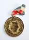 RARE MEDAILLE PATRIOTIQUE GUERRE MONDIALE 14-18 LE TIGRE De HERTZ, MILITAIRE WWI / MILITAIRE MILITARIA MEDAL (0901.5) - Frankrijk