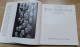 Horst Hille BRIEFGESICHTER, Buch Mit 176 Seiten, Ein Kulturhistorisch-philatelistischer Streifzug, Viele Abbild... !!!! - Guides & Manuels