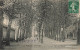 FRANCE - Parail Le Monial - La Promenade - Place Du Marché - Carte Postale Ancienne - Paray Le Monial