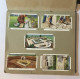 WILLS’S CIGARETTE PICTURE CARD ALBUM COMPLETO GARDEN HINTS - Otros & Sin Clasificación