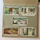 WILLS’S CIGARETTE PICTURE CARD ALBUM COMPLETO GARDEN HINTS - Other & Unclassified