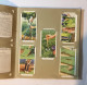 WILLS’S CIGARETTE PICTURE CARD ALBUM COMPLETO GARDEN HINTS - Autres & Non Classés