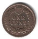 ETAT UNIS - UNIDET STATES OF AMERICA - ONE CENT - 1902 - INDIA HEAD - 1859-1909: Indian Head