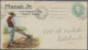 Tasmania -  Postal Stationery: 1892, 2d Light Green QV Oval Embossed Printed-to- - Cartas & Documentos