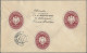 Zeppelin Mail - Germany: 1931, Polarfahrt, Zuleitungspost Österreich, Zwei Brief - Poste Aérienne & Zeppelin