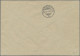 Liechtenstein - Dienstmarken: 1932/1935, Dienstmarken 5 Rp. Gez. A Und Gez. B Je - Oficial