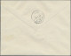 Delcampe - Liechtenstein - Dienstmarken: 1935/1936, 5 Verschiedene R-Briefe Der Regierung M - Official