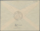 Liechtenstein - Portomarken: 1929/1938, Nachportomarken Ziffer Im Band, 3x 5 Rp. - Strafportzegels
