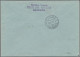 Delcampe - Liechtenstein - Portomarken: 1938/1931, Portomarken II, Ziffer Im Band 3x 10 Rp. - Strafportzegels