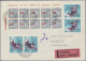 Liechtenstein - Portomarken: 1955, Nachportomarken Ziffer Mit Posthorn 5 Rp. Im - Postage Due