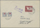 Liechtenstein - Portomarken: 1955, Nachportomarken Ziffer Mit Posthorn 5 Rp.(2), - Postage Due