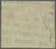 Österreich - Zeitungsstempelmarken: 1877, Zeitungsstempelmarke 1 Kr Ultramarin, - Journaux